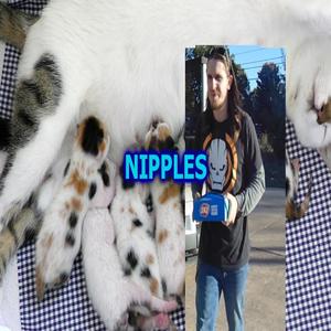 NIPPLES