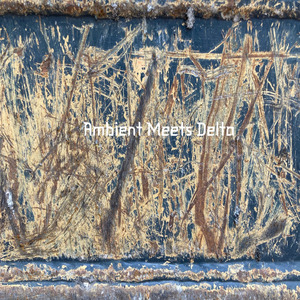 Ambient Meets Delta