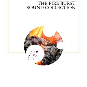 Rivers Winter Streams