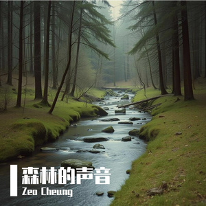 森林的声音
