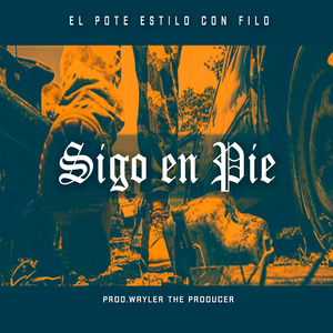 Sigo En Pie