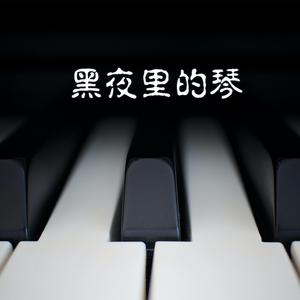 黑夜里的琴