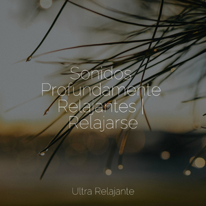 Puesta De Sol De La Libélula