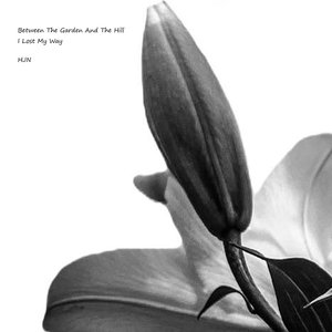 On Waking Everyone's Gone