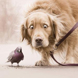 아무것도 아닐지도 몰라