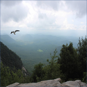 Rainy Parking Lot (Loopable)