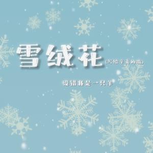 雪绒花 (写给辛夷的歌)