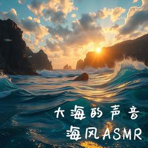 NO.5 专注力训练海 海浪 海鸥 失眠古典吉他曲