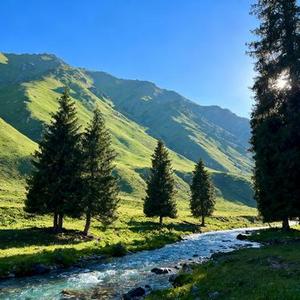 走天涯(Cover 降央卓玛)