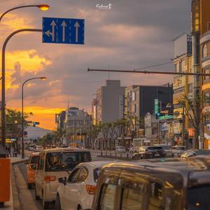 残林森 - XXX前奏啦