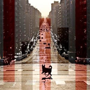 日落大道（Cover 梁博）