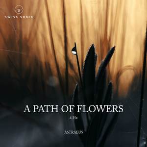 A Path Of Flowers