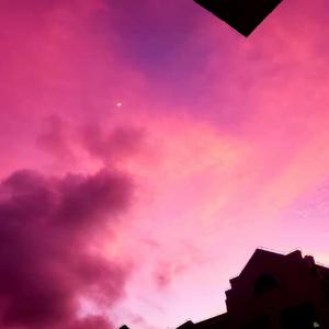 不如回家陪我妈（原唱：高可意）