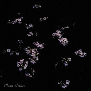 Plant Ethics