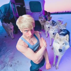 She Wolf (Falling to Pieces)