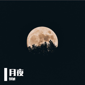 月夜 伴奏