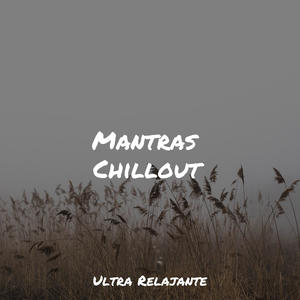 Rocío Sobre El Musgo