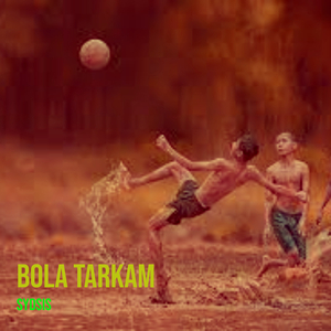 Bola Tarkam