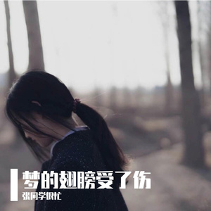 梦的翅膀受了伤