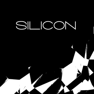 Silicon
