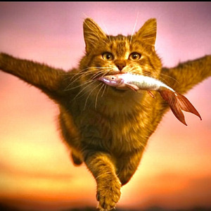 ネクストネクスト