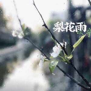 梨花雨