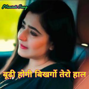 बूढ़ी होगी बिखरगो तेरो हाल, Mewati Song