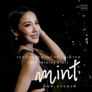 เธอคือดาวดวงนั้นที่ฉันเฝ้ารอ (My Shining Star)