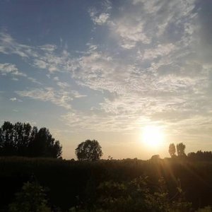 你爱的第一个人是你灵魂缺失 的拼图