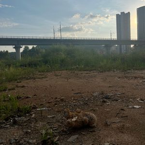 越长大越难过 P.dead yemi