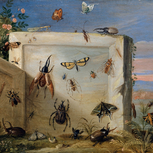 El Orquestal Dilema Del Ciempiés Arroba Gmail Punto Com (Orquestal)