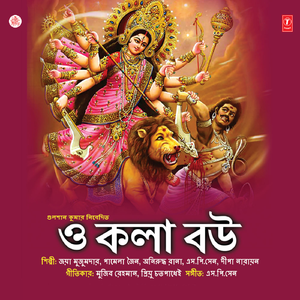 Yei Baar Maa Aashchhil