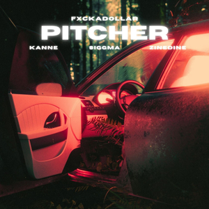 Pitcher