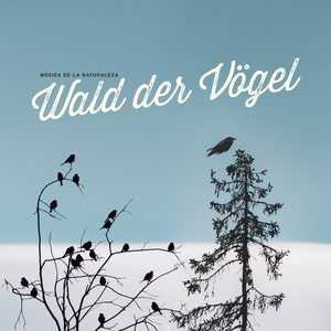 Purl Winter
