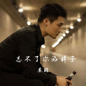 忘不了你的样子