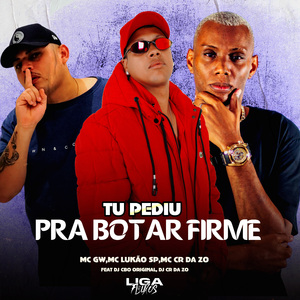 Tu Pediu pra Botar Firme
