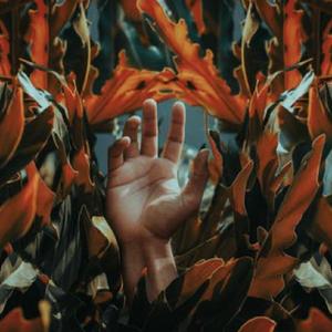 冥想音乐 元无烦恼