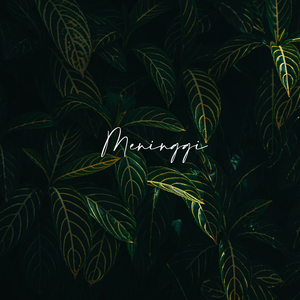 Meninggi
