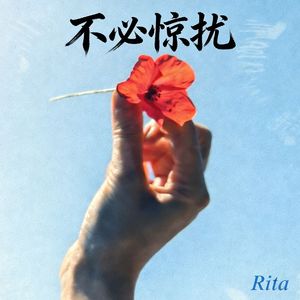 你的城市我去过了