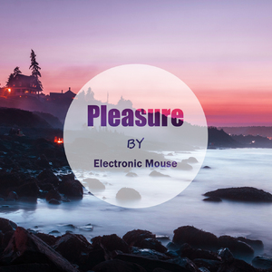 Pleasure (Original Mix)