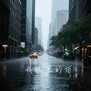 我眼里的雨