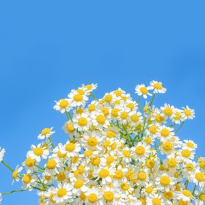 阳光照耀大地，万物生长