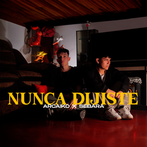 Nunca Dijiste