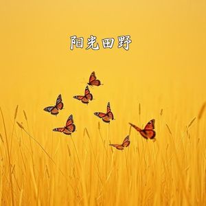 灵魂的重量(重制版)