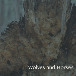 Snow Capped Mountains Above the Clouds