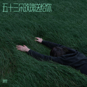 五十三朵玫瑰送给你 (伴奏)