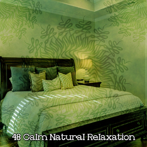 平静的夜晚休息