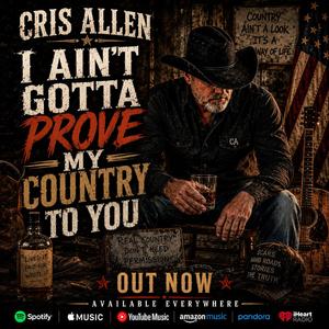 I Ain't Gotta Prove My Country To You