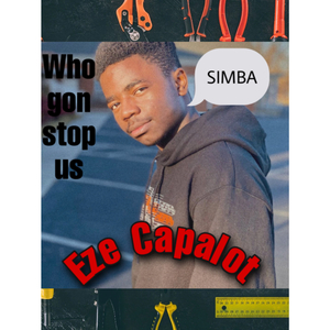 Who Gon Stop Us