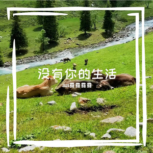 未发送的早安语